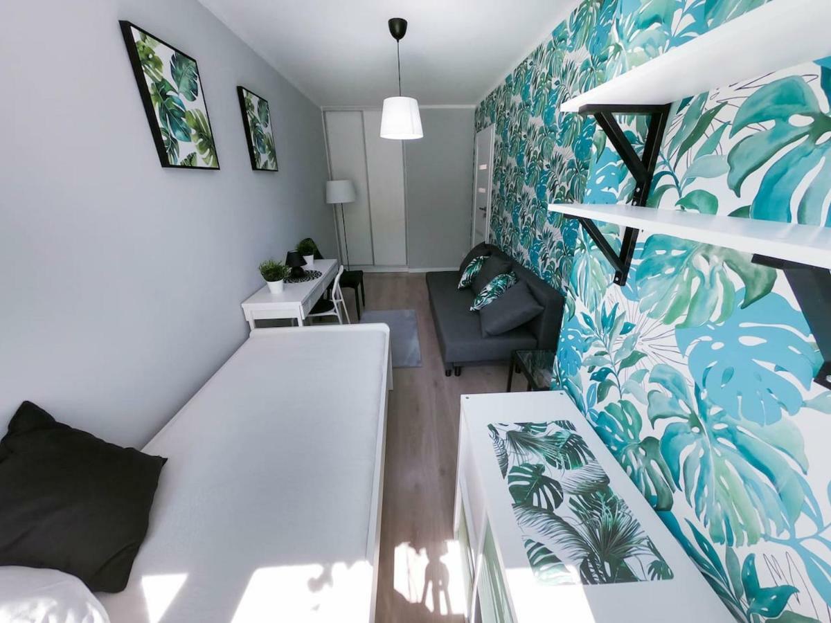 ורוצלב New Apartment - 300 M Town Hall - 3 Rooms - 7 People מראה חיצוני תמונה