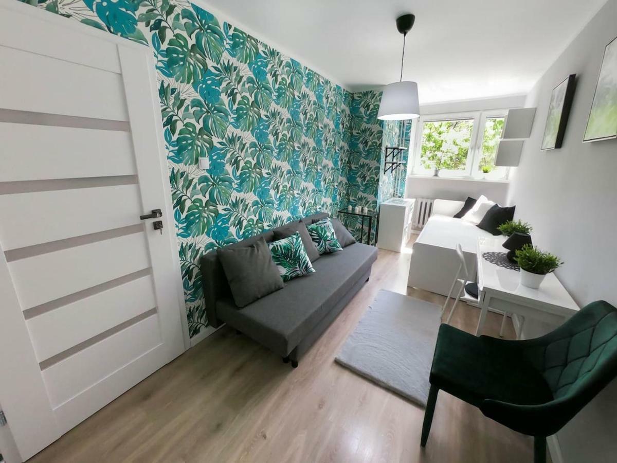 ורוצלב New Apartment - 300 M Town Hall - 3 Rooms - 7 People מראה חיצוני תמונה